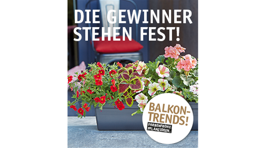 Kachel_Gewinnspiel-Gewinner19.png