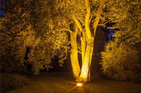 WEIHNACHTS-LICHTER-GÄRTEN