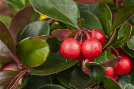 DAS GRAB IM HERBST!